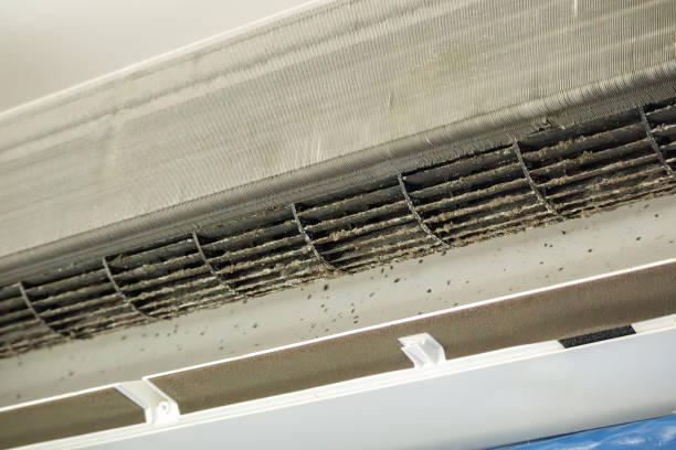 Best Best Air Duct Cleaning Near Me  in Grandview, TX